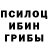 Псилоцибиновые грибы Psilocybine cubensis Malgorzata Popiolek