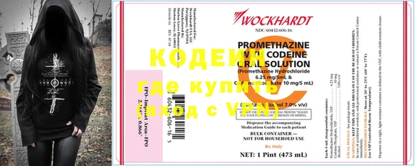 ECSTASY Белокуриха