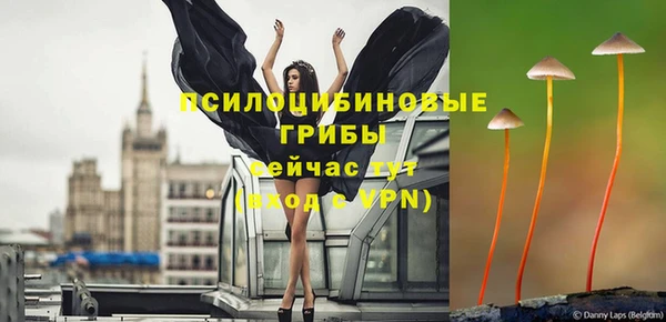 стафф Беломорск