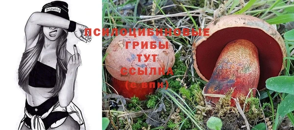 ECSTASY Белокуриха