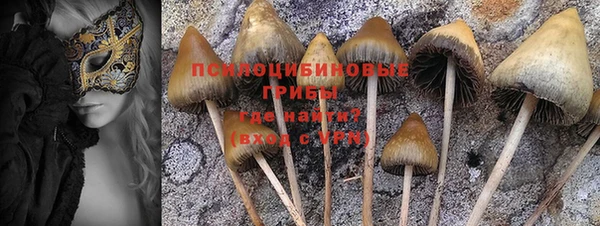 ECSTASY Белокуриха