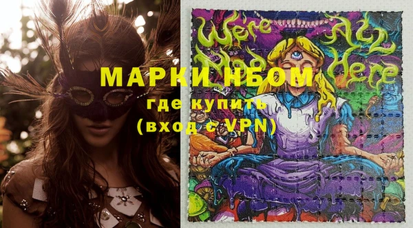 ECSTASY Белокуриха
