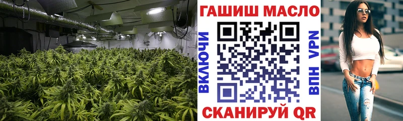 закладки  Беслан  ТГК THC oil 