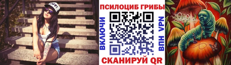 Псилоцибиновые грибы Psilocybe  кракен tor  Беслан 